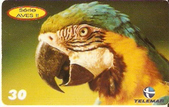 PB-157 - Aves II - 04/10