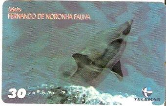 PB-162 - Fernando de Noronha - 01/10
