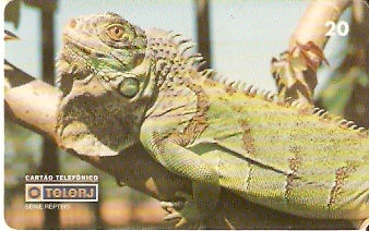 RJ-0214 - Répteis B2 - 1/4