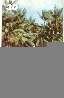 AP-045 - Arquipélago Bailique I