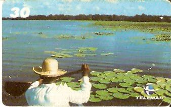 AP-041 - Região dos Lagos II