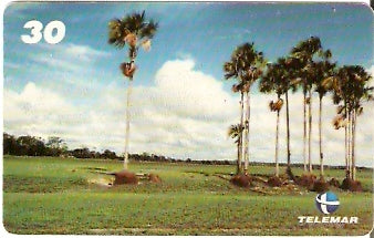 AP-047 - Campos do Curiaú