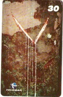 AP-060 - Amapazeiro