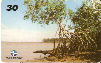AP-049 - Manguezal