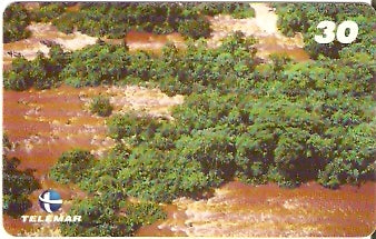 AP-062 - Corredeira do Rio Jari