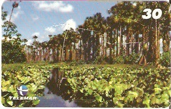 AP-071 - Rio Pacuí