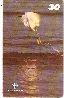 AP-081 - Garça
