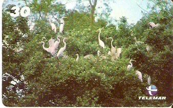 AP-074 - Ninhal de Garças