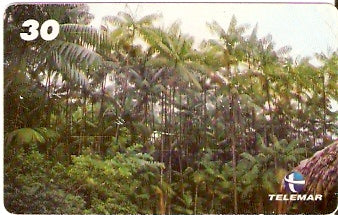 AP-085 - Açaizeiro