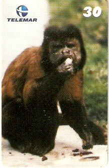 PE-744 - Animais - 2/5