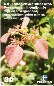 PE-771 - Passagens Bíblicas - BL5