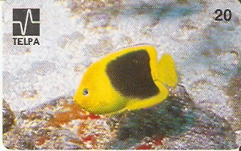 PB-002 - Xira Amarelo - B1