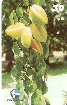 PI-073 - Carambola