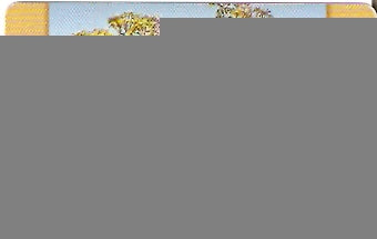CTBC-T-0216 - As Estações - 15