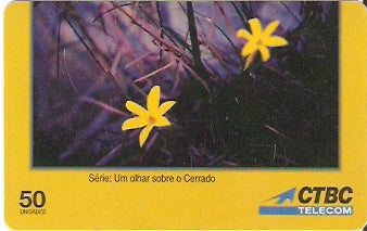 CTBC-T-0228 - As Flores - 2