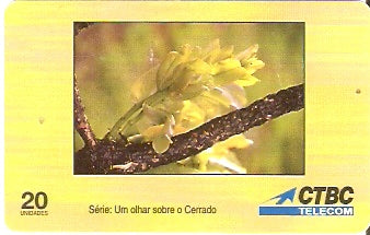 CTBC-T-0229 - As Flores - 3