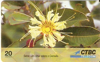CTBC-T-0230 - As Flores - 4 - B1