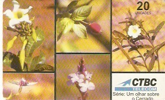 CTBC-T-0245 - As Flores - 12 - B2