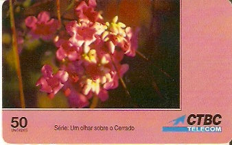 CTBC-T-0235 - As Flores - 7