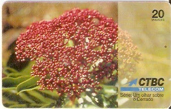 CTBC-T-0238 - As Flores - 9