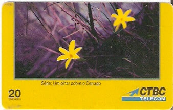 CTBC-T-0240 - As Flores - 10 - B2