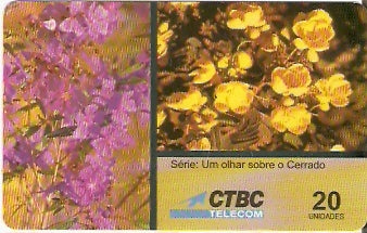 CTBC-T-0242 - As Flores - 11 - B2
