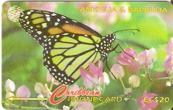 ANT-132C - The Monarch