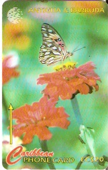 ANT-132D - The Futillary