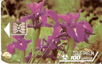 AND-008 - Pyrenean Iris