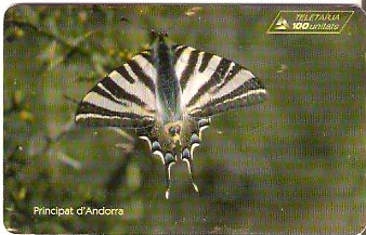 AND-081 - Borboleta