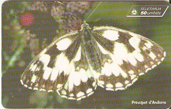 AND-105 - Borboleta