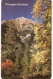 AND-119 - Bosque de Pal