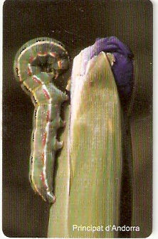 AND-117 - Flor Papilio Machaon