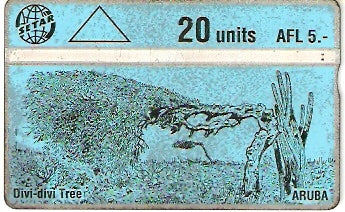 ARU-06a - Divi-Divi Tree 1