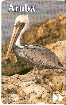 ARU-15c - Pelicano