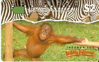 AUS-023 - Macaco