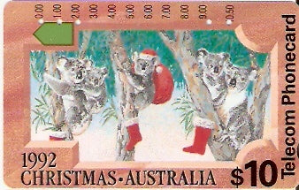 AUS-066 - Koalas