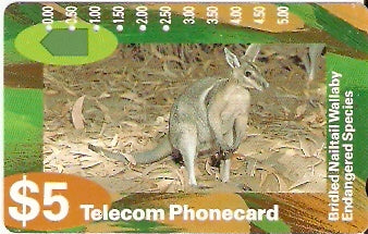 AUS-061 - Canguru