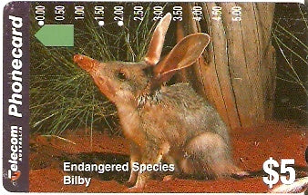 AUS-101 - Bilby