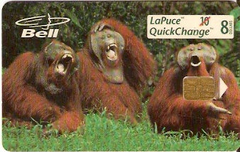 CAN-B3-058 - Macacos