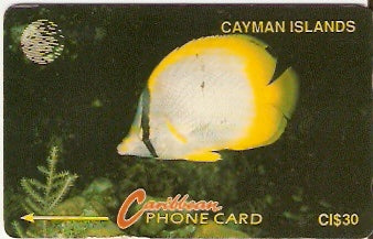 CAY-005B - Peixe Borboleta