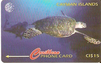 CAY-047C - Tartaruga