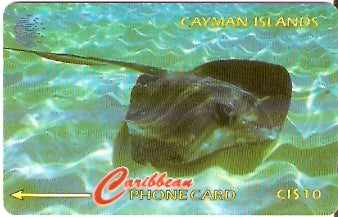 CAY-094E - Stingray
