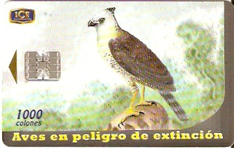 COS-047 - Aves em Perigo - 1