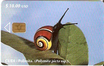CUB-111 - Caracol