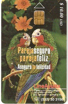 CUB-147 - Papagaios