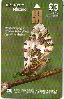CYP-10108 - Borboleta - 1