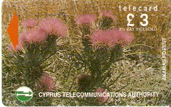 CYP-G-046 - Flores da Floresta 2