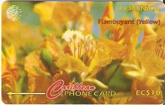 DOM-078A - Flamboyant (Amarelo),
