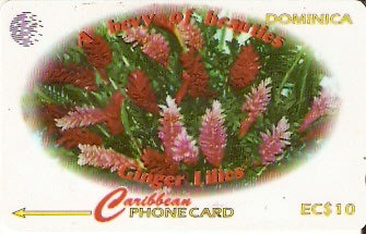 DOM-138A - Ginger Lilies